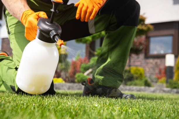 Best Pest Control for Businesses  in Sellersburg, IN