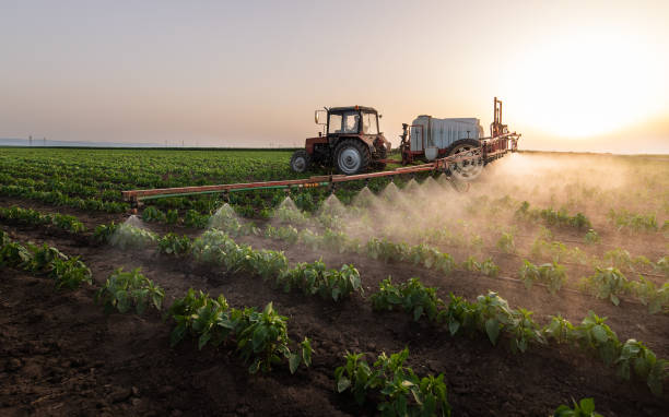 Reliable Sellersburg, IN Pest Control Solutions