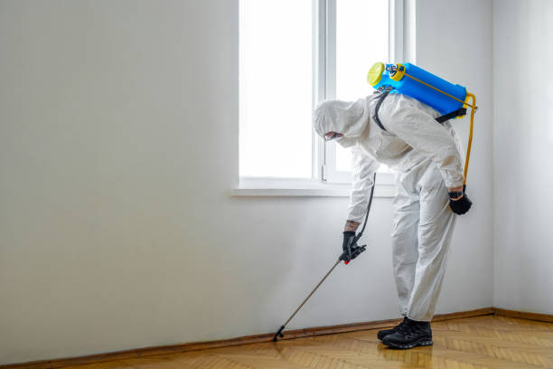 Best Affordable Pest Control Services  in Sellersburg, IN