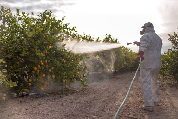 Best Pest Control Near Me  in Sellersburg, IN