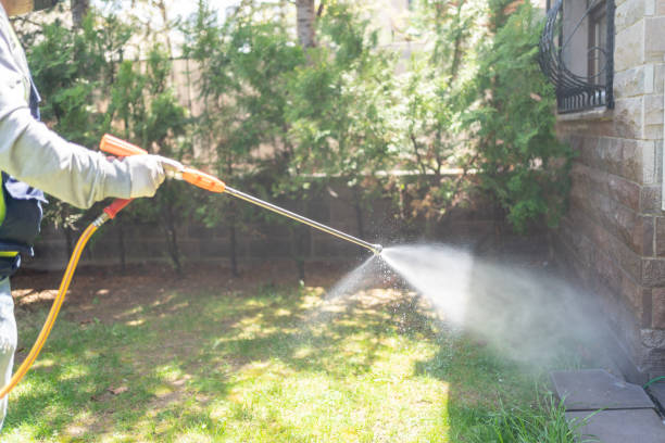 Best Cockroach Control Services  in Sellersburg, IN