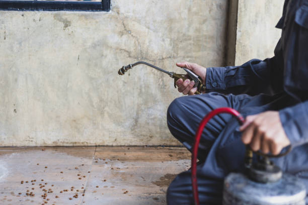 Best Termite Control Services  in Sellersburg, IN