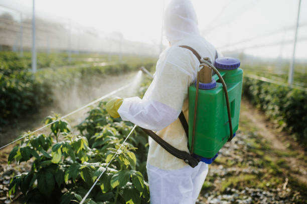 Best Pest Control Near Me in Sellersburg, IN